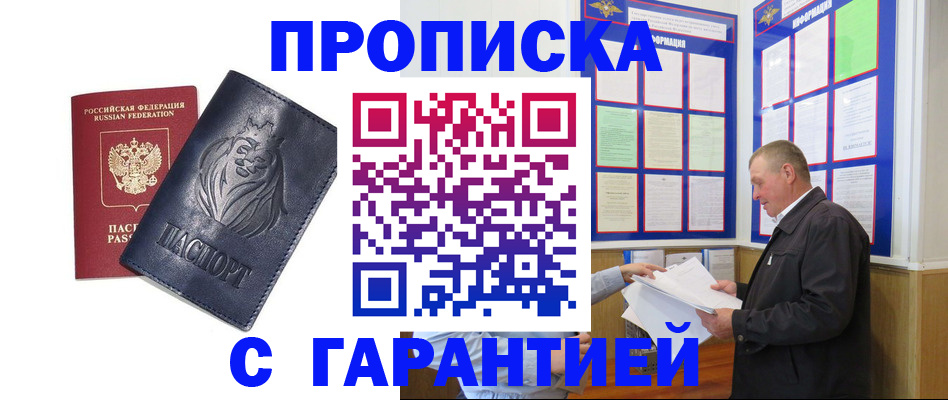 прописка поиск в Тольятти